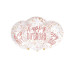 6 Ballons en latex transparents happy birthday à confettis roses 30 cm
