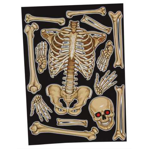 Stickers pour fenêtre squelette 30 x 40 cm