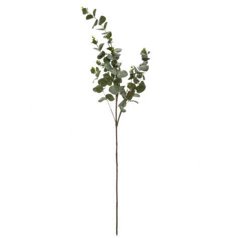 Branche d'eucalyptus 98 cm