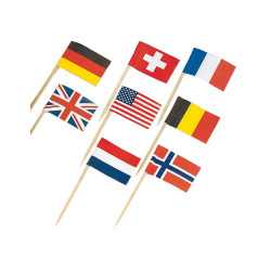 30 Mini piques drapeaux pays du monde