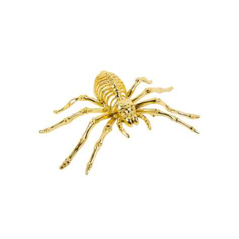 Araignée squelette dorée 12,5 x 20,5 cm