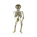 Squelette articulé en papier blanc et or 1,35m