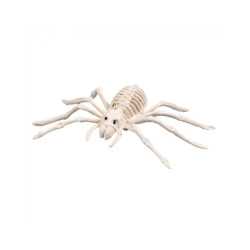 Araignée squelette 35 cm