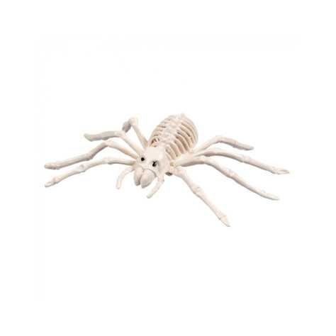 Araignée squelette 35 cm