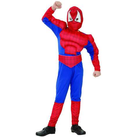 Déguisement super héros homme araignée garçon