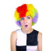 Perruque clown multicolore standard adulte
