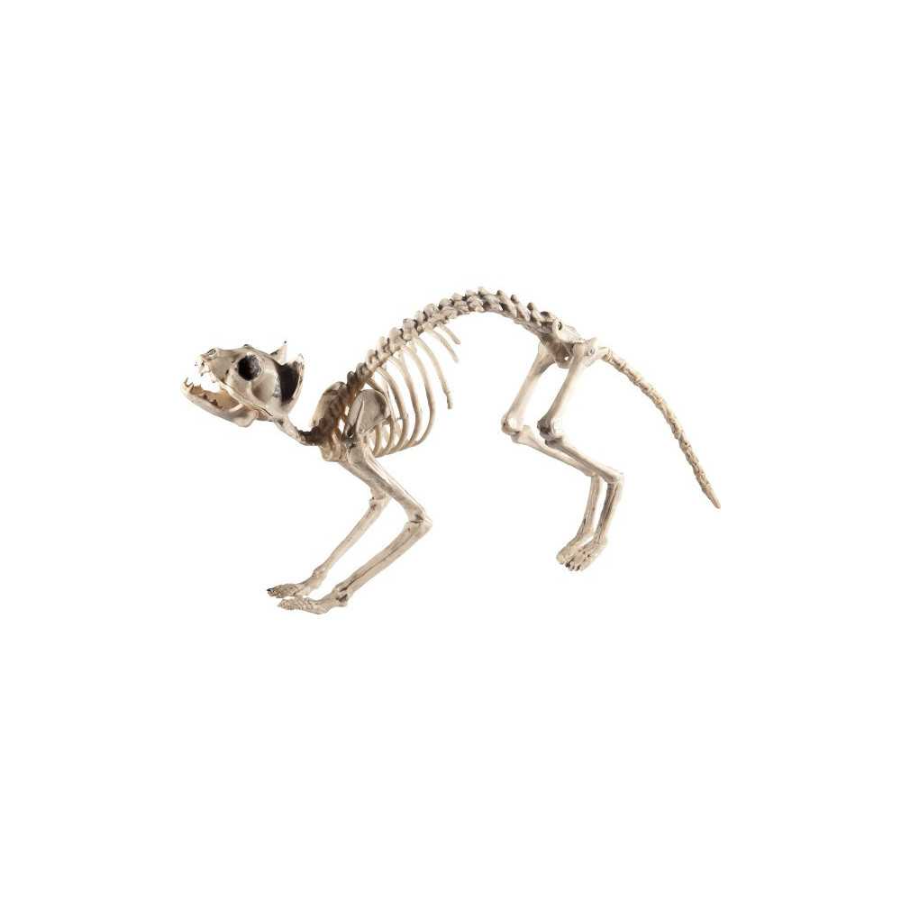 Décoration chat squelette Halloween